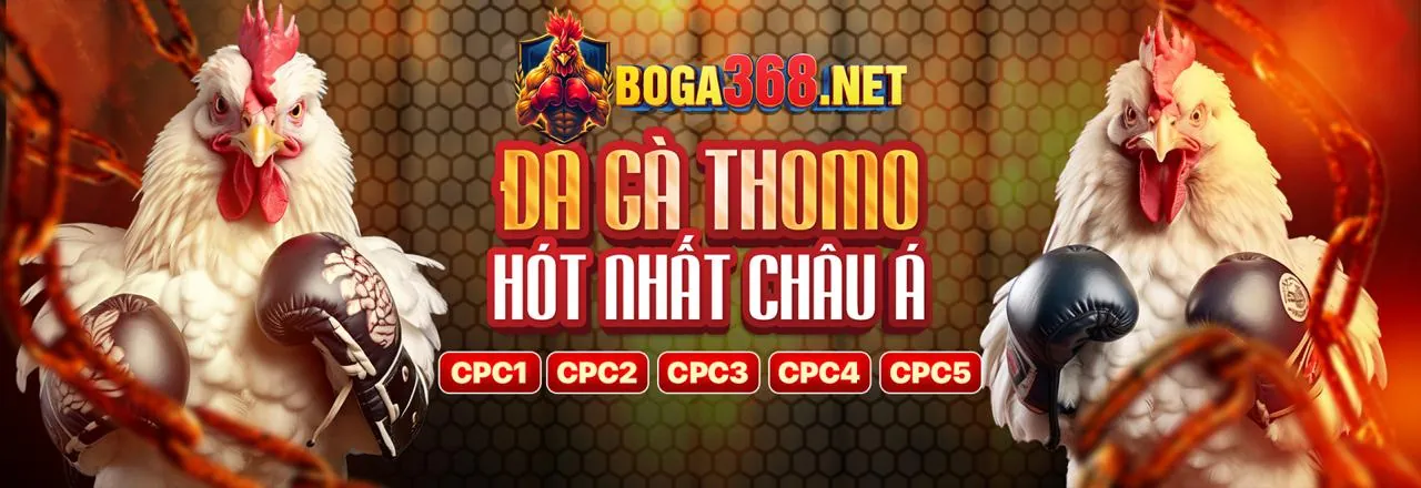 Đá Gà Trực Tuyến Hấp Dẫn tại win79 nổ hũ