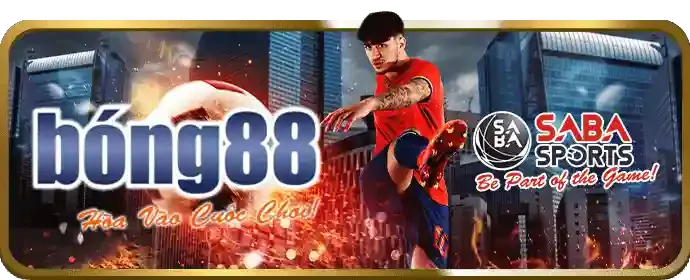 Nền tảng Uy tín và An toàn